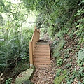P5281532.JPG