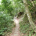 P5281534.JPG