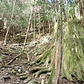 P1250607.JPG