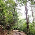 P9171703.JPG