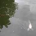 P1281377.JPG