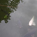 P1281379.JPG