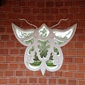 P1281387.JPG