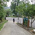 P5191167.JPG