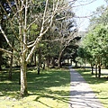 P2150962.JPG