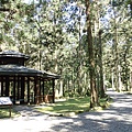 P2150985.JPG