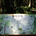 P2150994.JPG