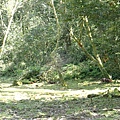 P2151003.JPG