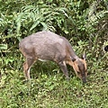 e4e71fcc-108b-4449-8bc1-0d6efed6d3a4.jpg