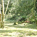 P2151005.JPG