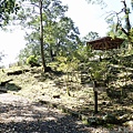 P2151025.JPG