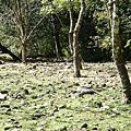 P2151043.JPG