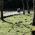 P2151049.JPG