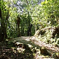 P2151056.JPG