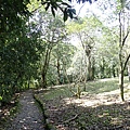 P2151059.JPG