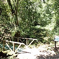 P2151062.JPG
