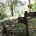 P2151068.JPG