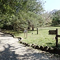 P2151074.JPG