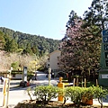 P2140559.JPG