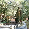 P2140575.JPG