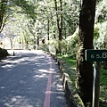 P2140592.JPG