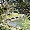 P2140593.JPG