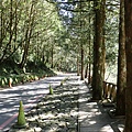 P2140596.JPG