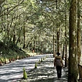 dcdcec73-d0bd-417e-a8a0-ed23da2a99b8.jpg