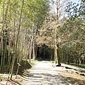 P2140615.JPG