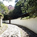 P2140635.JPG
