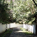 P2140646.JPG