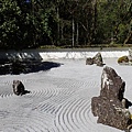 P2140654.JPG