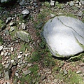 P2140670.JPG