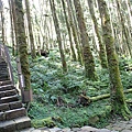 P2140682.JPG