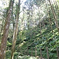 P2140684.JPG