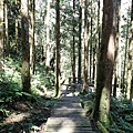 P2140693.JPG