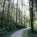 P2140722.JPG