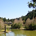 P2140733.JPG