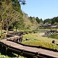 P2140762.JPG