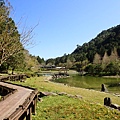 P2140767.JPG