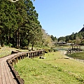 P2140768.JPG