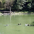 P2140774.JPG