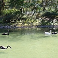 P2140777.JPG