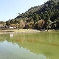 P2140805.JPG