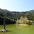 P2140807.JPG