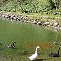 P2140856.JPG