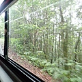 P4190337.JPG