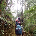 P4190392.JPG