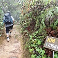P4190399.JPG