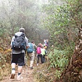 P4190400.JPG
